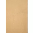 Len-strech.camel_8