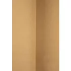 Len-strech.camel_8
