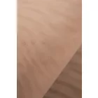 Strech necc.test