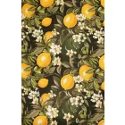 Dekorvászon-citromos.fekete