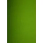 Passzé.fűzöld_6