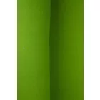 Passzé.fűzöld_6
