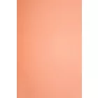Passzé.salmon