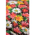 Pamutvászon-margaréta.színes