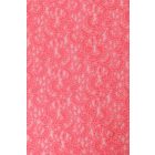 Csipke-2.coral