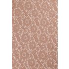 Csipke-miranda.cappuccino