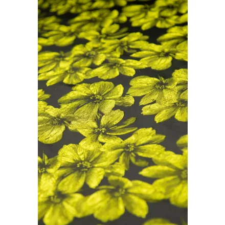 Jacquard-eliza.zöld/fekete_12