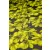 Jacquard-eliza.zöld/fekete_12