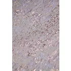 Jacquard-navarra.lila/rosegold_12