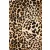 Jersey-leopard.barna_8