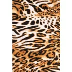 Jersey-tigris.barna_8