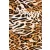 Jersey-tigris.barna_8