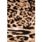 Jersey-tigris.bézs_8