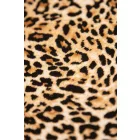 Jersey-ocelot.barna