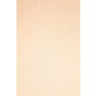 Tüll-crystal.ecru_2