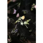 Tüll-himzett virágos.fekete_1