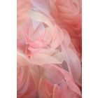 Tüll-3d rózsás.színes_12