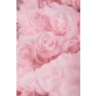 Tüll-3d rózsás.rózsaszín_10