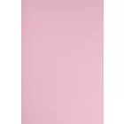 Futter.baby rose