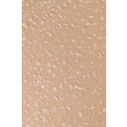 Csipke-bridal.1242 ecru