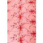 Csipke-bridal.1002 red