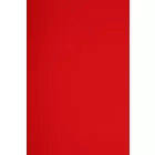 Neopren-modal.red