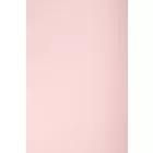 Neopren.lt rose