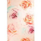 Cosmos-rose.pastel color