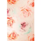 Cosmos-rose.pastel color