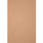 Modal-jersey.camel