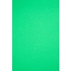 Szatén-champion.poison green