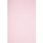 Szatén-champion.rose