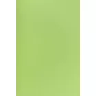 Jersey-loren.green fluoresc